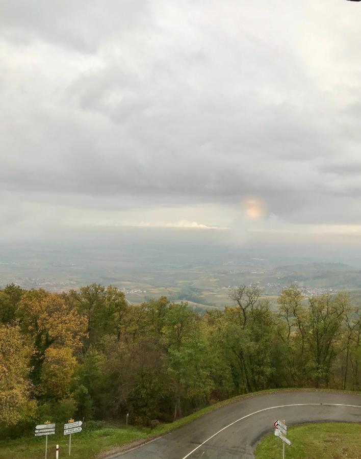 Domaine Du Haut-Koenigsbourg Orschwiller Bagian luar foto