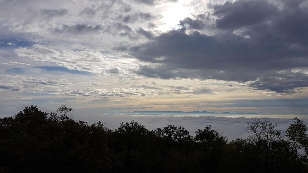 Domaine Du Haut-Koenigsbourg Orschwiller Bagian luar foto
