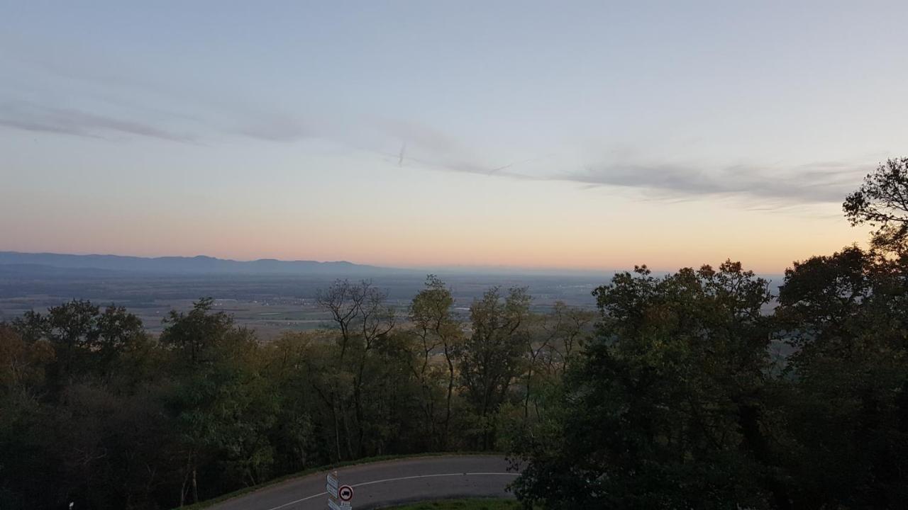 Domaine Du Haut-Koenigsbourg Orschwiller Bagian luar foto