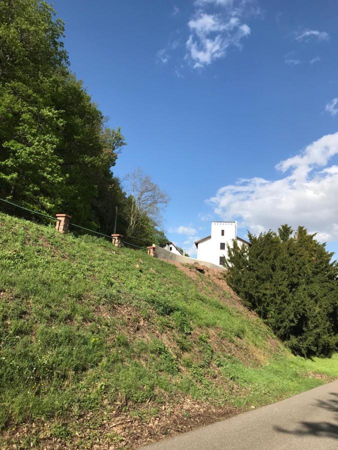 Domaine Du Haut-Koenigsbourg Orschwiller Bagian luar foto